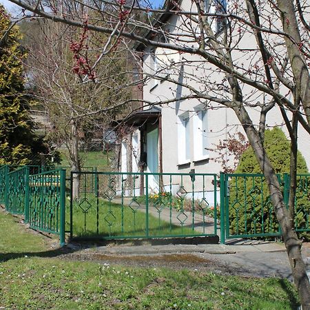 Ferienwohnung Am Muehlbach Klingenthal Eksteriør billede