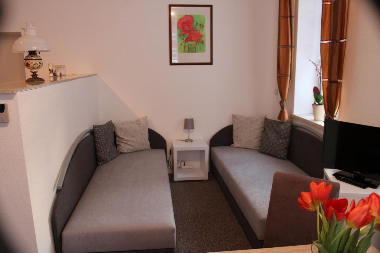 Ferienwohnung Am Muehlbach Klingenthal Eksteriør billede