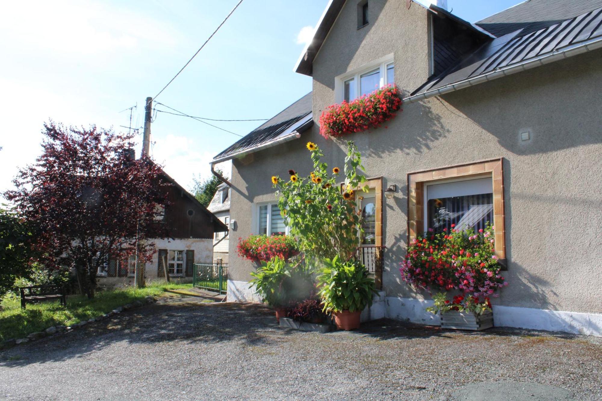 Ferienwohnung Am Muehlbach Klingenthal Eksteriør billede
