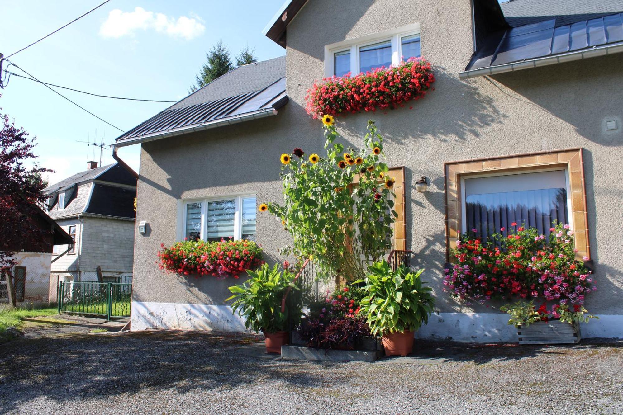 Ferienwohnung Am Muehlbach Klingenthal Eksteriør billede